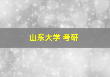 山东大学 考研